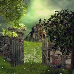 Shabby Castle Photography Scenery Backdrop Fantasy Theme Banner AKA-923