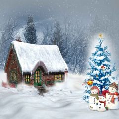 Outdoor Christmas Tree Photography Scenery Backdrop Christmas Theme Banner AKA-978