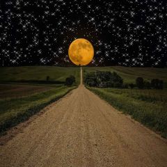 Bright Night Photography Scenery Backdrop Road Theme Banner AKA-979