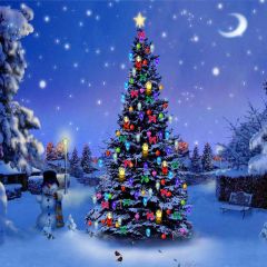 Astonishing Christmas Tree Photography Scenery Backdrop Christmas Theme Banner AKA-984
