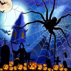 Awful Spider Photography Scenery Backdrop Halloween Theme Banner AKA-985