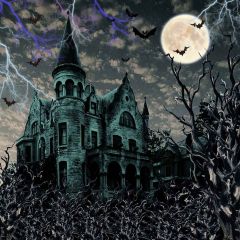 Frightening Lightning Photography Scenery Backdrop Halloween Theme Banner AKA-986