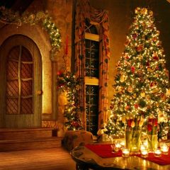 Christmas Tree Cup Window Door Photography Scenery Backdrop Christmas Theme Banner BCE-001
