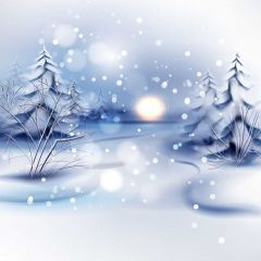 Snow Light Tree Photography Scenery Backdrop Christmas Theme Banner BCE-014