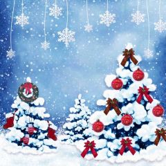 Gift Snowflake Photography Scenery Backdrop Christmas Theme Banner BCE-015