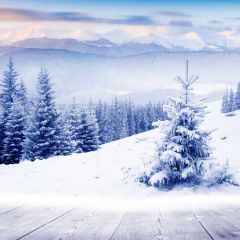 Cypress Snow Fir Photography Scenery Backdrop Christmas Theme Banner BCE-016