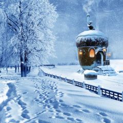 Tree Snow Sky Photography Scenery Backdrop Christmas Theme Banner BCE-017