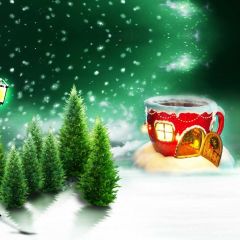 Fir House Snow Photography Scenery Backdrop Christmas Theme Banner BCE-022