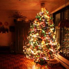 Christmas Tree Gift Window Photography Scenery Backdrop Christmas Theme Banner BCE-023