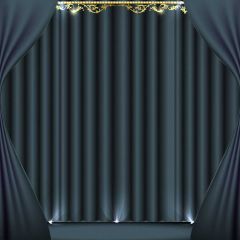Stage Curtain Footlight Photography Scenery Backdrop Stage Carpet Theme Banner BCE-036