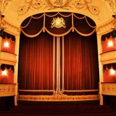 Stage Curtain Photography Scenery Backdrop Stage Carpet Theme Banner BCE-040