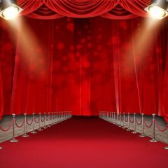 Arches Carpet Light Photography Scenery Backdrop Stage Carpet Theme Banner BCE-045