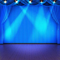 Stage Light Curtain Floor Photography Scenery Backdrop Stage Carpet Theme Banner BCE-046