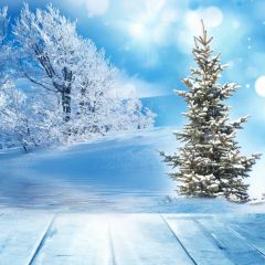 Cypress Fir Tree Snow Photography Scenery Backdrop Christmas Theme Banner BCE-048