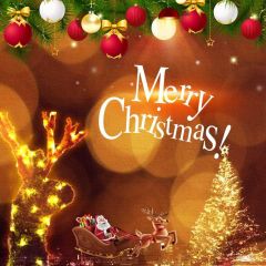 Santa Claus Light Reindeer Photography Scenery Backdrop Christmas Theme Banner BCE-051