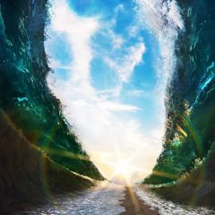 Sunlight Cloud Tree Mountain Photography Scenery Backdrop Christmas Theme Banner BCE-061