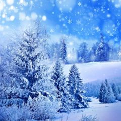 Cypress Fir Snowflake Photography Scenery Backdrop Christmas Theme Banner BCE-062