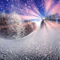 Snowflake Tree Photography Scenery Backdrop Snow Theme Banner BCE-079