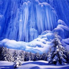 Snow Fir Cypress Photography Scenery Backdrop Christmas Theme Banner BCE-083