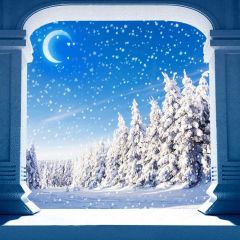 Wind Crisp Moon Snow Photography Scenery Backdrop Christmas Theme Banner BCE-091