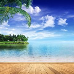 Sky Colud Sea Tree Photography Scenery Backdrop Ocean Theme Banner BCE-111