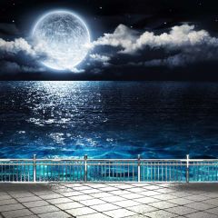 Full Moon Sea Photography Scenery Backdrop Ocean Theme Banner BCE-112