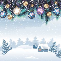 Snow Fir Cabin Photography Scenery Backdrop Christmas Theme Banner BCE-126