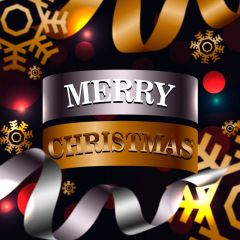 Snowflake Lightspot Photography Scenery Backdrop Christmas Theme Banner BCE-129