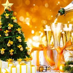 Bottle Wine Mistletoe Photography Scenery Backdrop Christmas Theme Banner BCE-145