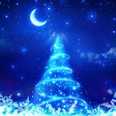 Sky Star Moon Christmas Tree Photography Scenery Backdrop Christmas Theme Banner BCE-149