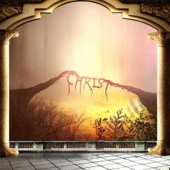 Pillar Tree Nature Photography Scenery Backdrop Terrace Scenery Theme Banner BCE-152