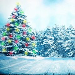 Snow Tree Light Photography Scenery Backdrop Christmas Theme Banner BCE-155