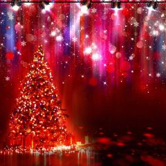 Fir Lights Snow Red Photography Scenery Backdrop Christmas Theme Banner BCE-158