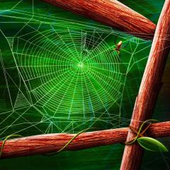 Webcob Spider Wood Log Photography Scenery Backdrop Halloween Theme Banner BCE-164