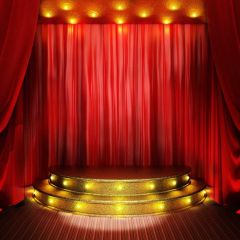 Curtain Light Photography Scenery Backdrop Stage Carpet Theme Banner BCE-172