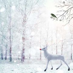 Reindeer Snow Forest Photography Scenery Backdrop Christmas Theme Banner BCE-181