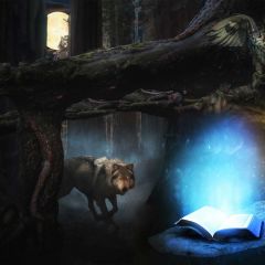 Wolf Animal Light Book Photography Scenery Backdrop Forest Theme Banner BCE-184