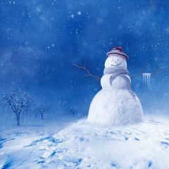 Snowman Snow Tree Photography Scenery Backdrop Snow Theme Banner BCE-188