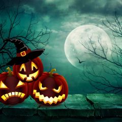 Halloween Pumpkin Moon Tree Photography Scenery Backdrop Halloween Theme Banner BCE-190