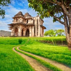 Castle Tree Grass Road Photography Scenery Backdrop Nature Theme Banner BCE-192