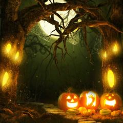 Pumpkin Lantern Tree Light Photography Scenery Backdrop Halloween Theme Banner BCE-193