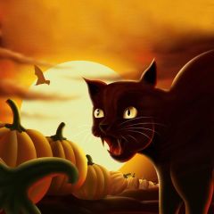 Cat Animal Pumpkin Photography Scenery Backdrop Halloween Theme Banner BCE-195