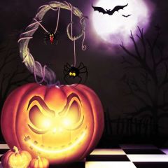 Pumpkin Cat Moon Photography Scenery Backdrop Halloween Theme Banner BCE-197