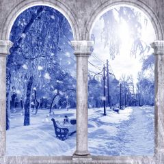 Arch Snow Tree Photography Scenery Backdrop Snow Theme Banner BCE-205