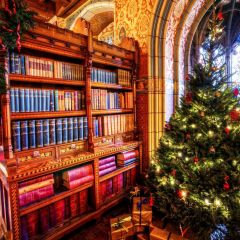 Tree Book Shelf Gift Photography Scenery Backdrop Christmas Theme Banner BCE-206