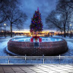 Christmas Tree Color Railing Photography Scenery Backdrop Christmas Theme Banner BCE-207