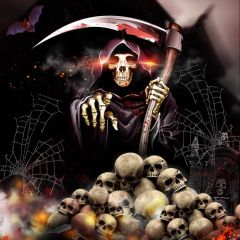 Ghost Skull Cobweb Photography Scenery Backdrop Halloween Theme Banner BCE-220