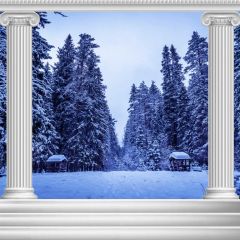 Fir Snow Arch Photography Scenery Backdrop Christmas Theme Banner BCE-221