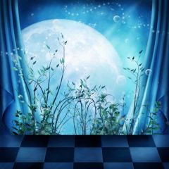 Moon Grass Curtain Photography Scenery Backdrop Night Theme Banner BCE-233