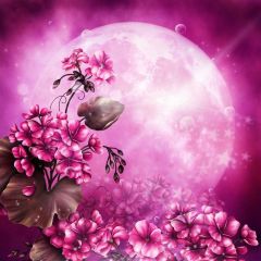 Moon Flower Sunlight Photography Scenery Backdrop Flowers Theme Banner BCE-234